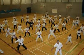 Image result for Zen Shin Seicho Do Adult Karate