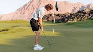 Image result for Ashford Tanners Handball Club