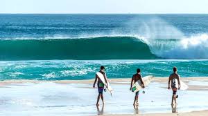 Image result for Halstead Cyclones