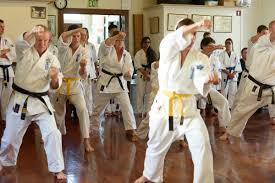 Image result for Devonport Shotokan Karate Club