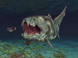 Image result for Scylliogaleus quecketti