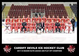 Image result for Cardiff Devils