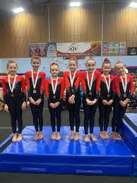 Image result for Basingstoke Gymnastics Club
