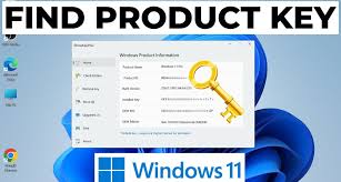 Image result for Windows key