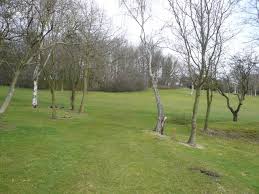 Image result for Alfreton Golf Club