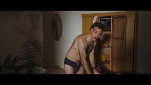 Afbeeldingsresultaat voor peter van den begin