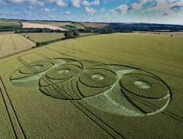 Image result for crop circle