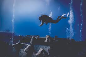 Image result for Dive Solutions, London
