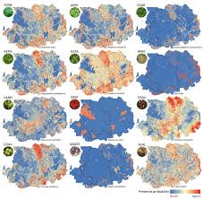 Attēlu rezultāti vaicājumam “Chaerophyllum aromaticum fruit”