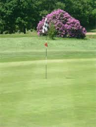 Image result for Dorking Golf Club