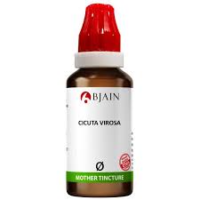 Attēlu rezultāti vaicājumam “Cicuta virosa”