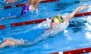 Image result for Kingsbridge Kingfishers Swimming Club