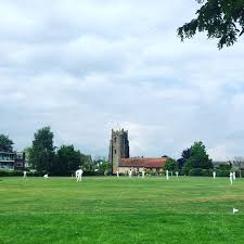 Image result for Great Baddow Cricket Club