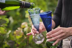 Image result for [Champagne]