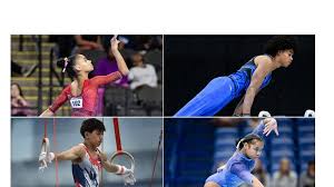 Image result for Northern Gymnastics Club CIC