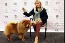 Martha Stewart's Chow Chow wins at Westminster dog show - CSMonitor.