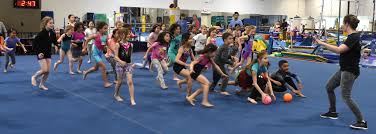 Image result for Gym Stars