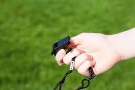 Image result for Reigate Priory Croquet Club