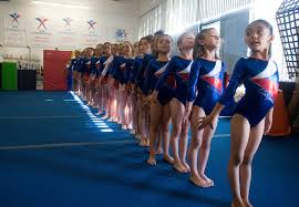 Image result for Acrobrats