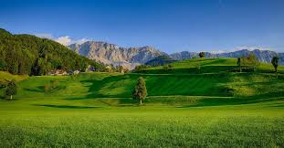 Kết quả hình ảnh cho hinh anh