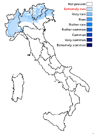Attēlu rezultāti vaicājumam “Cetrelia sp.”