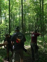 Image result for Hart Of Sherwood Archery Club