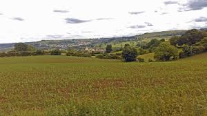 Image result for Stourbridge HF Rambling Club