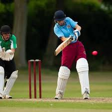 Image result for Swaffham Cricket Club