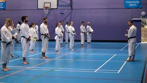Image result for Harrow Shorinji Kempo