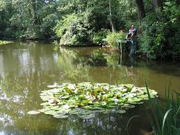 Image result for Bay Malton Angling Club