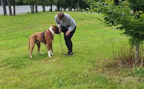 Image result for Bideford Parkour Club