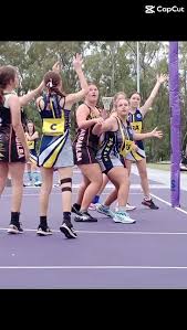 Image result for Hornets Netball Club