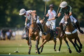 Image result for Cowdray Park Polo Club