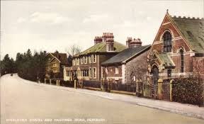 Image result for Buscot Park Cricket Club