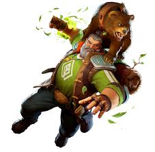 Image result for Dacorum Wildcards