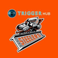 Image result for Sheffield Steelers