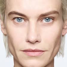 Image result for delfine bafort