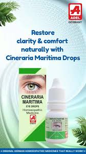 Image result for Cineraria maritima