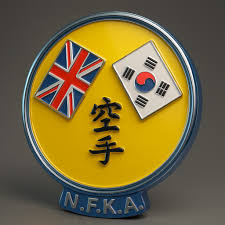 Image result for Northern Freestyle Karate Association