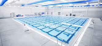 Image result for City of Preston Aquatics
