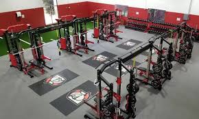 Image result for Abbey Fit Gymnastics