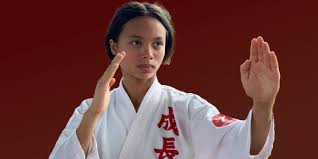 Image result for Mickleham Seiki Juku Karate Club