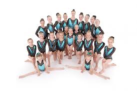 Image result for Wiltshire School Of Gymnastics