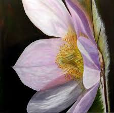 Image result for Christrose