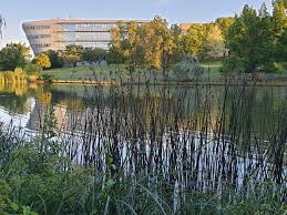 Image result for University Of Surrey