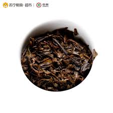 Image result for 2007早春