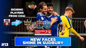 Image result for Herdings Park Football Club