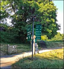 Image result for Dorking Golf Club