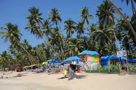 Image result for patnem beach