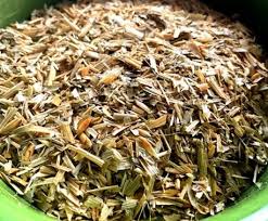 Attēlu rezultāti vaicājumam “Avena sativa fruit”